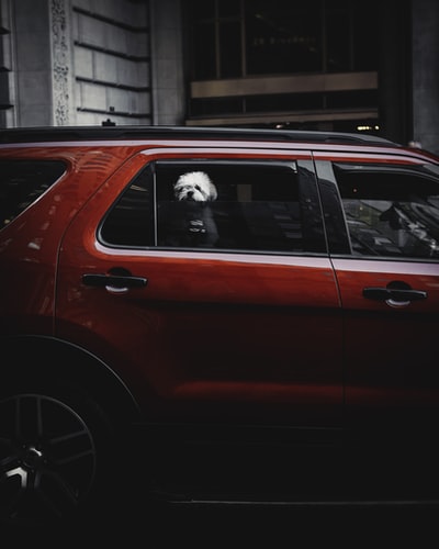 红色SUV
